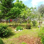 1 Apartman